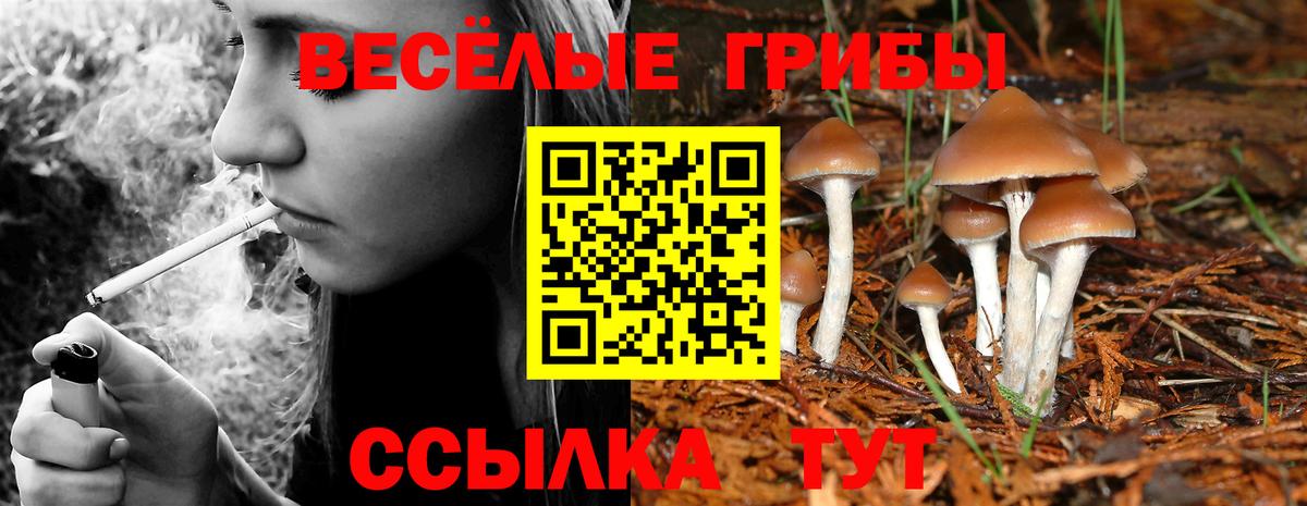 Галлюциногенные грибы Psilocybine cubensis  Галлюциногенные грибы ЛСД  Вход с VPN  Якутск 